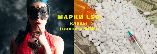 ешки Аркадак