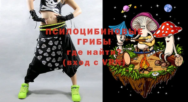 прущая мука Арсеньев