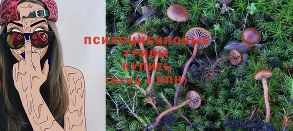 прущие крисы Армянск